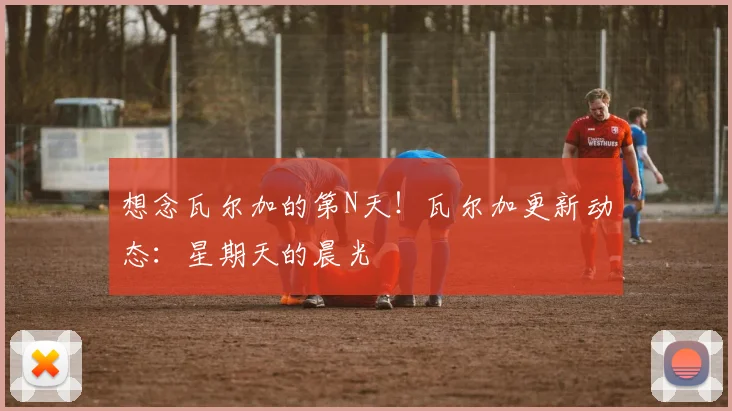想念瓦尔加的第N天！瓦尔加更新动态：星期天的晨光